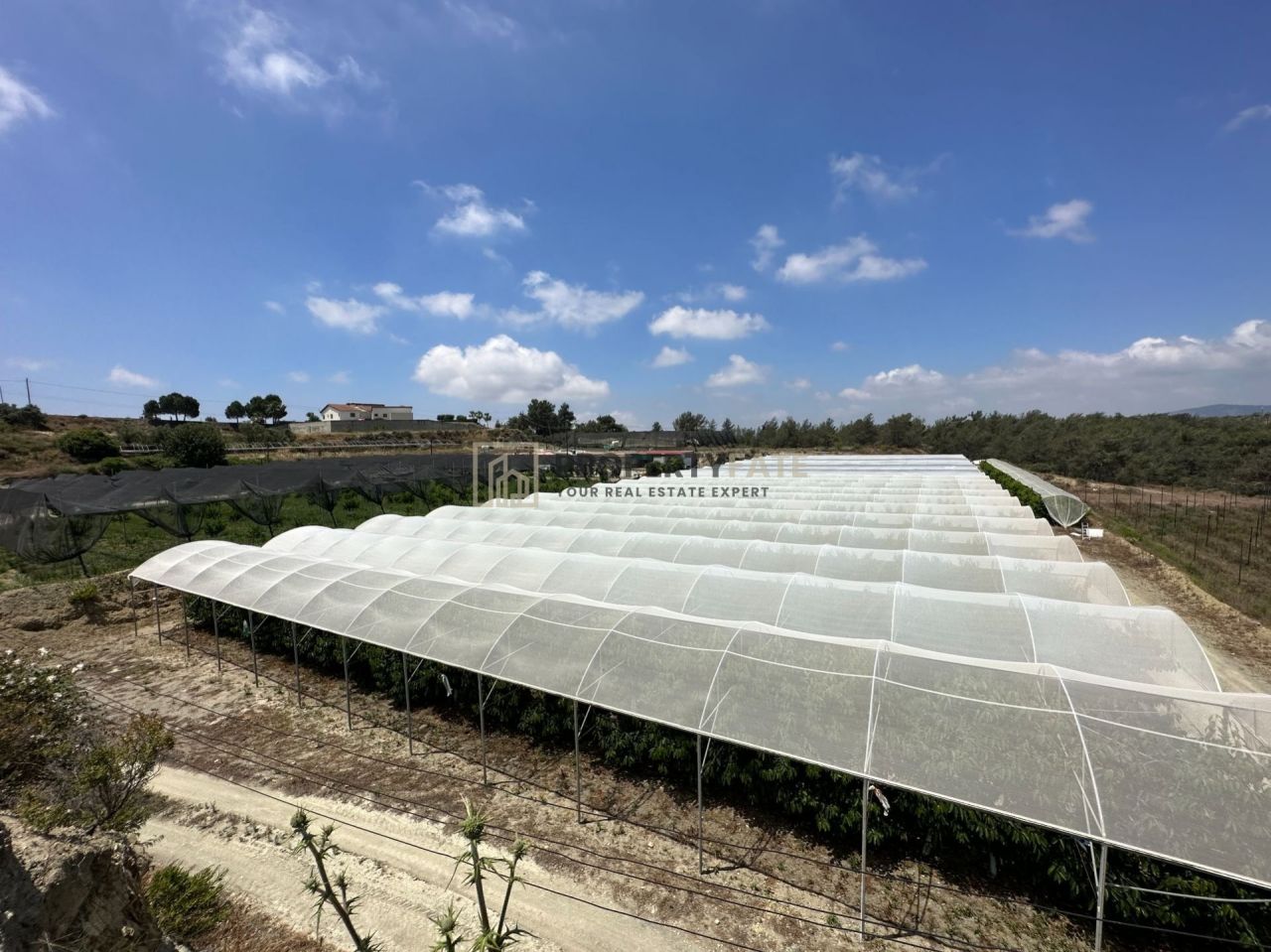 Thumbnail 9 1065 / נכס 4500 קלאקי, לימסול