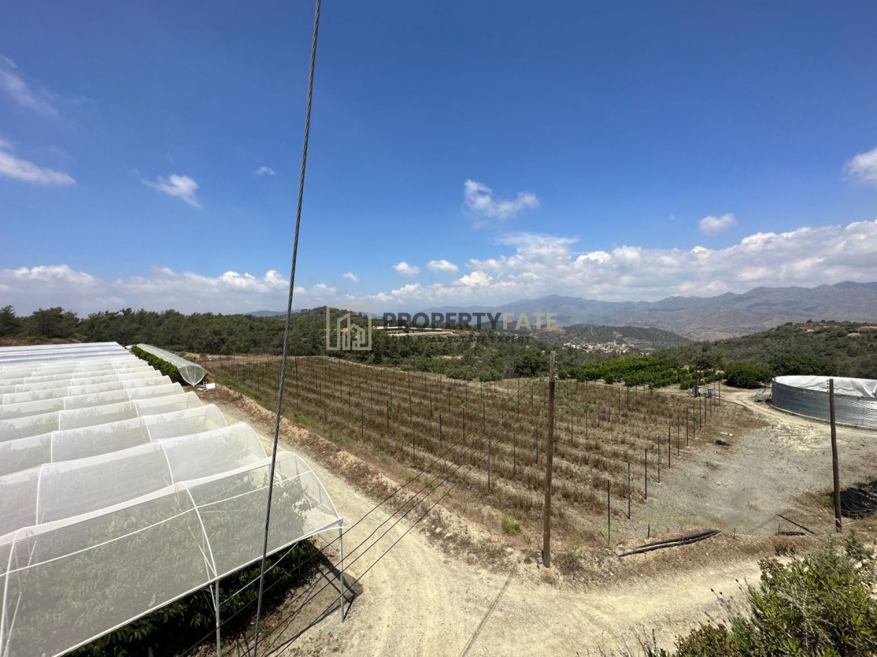 Thumbnail 8 1065 / נכס 4500 קלאקי, לימסול