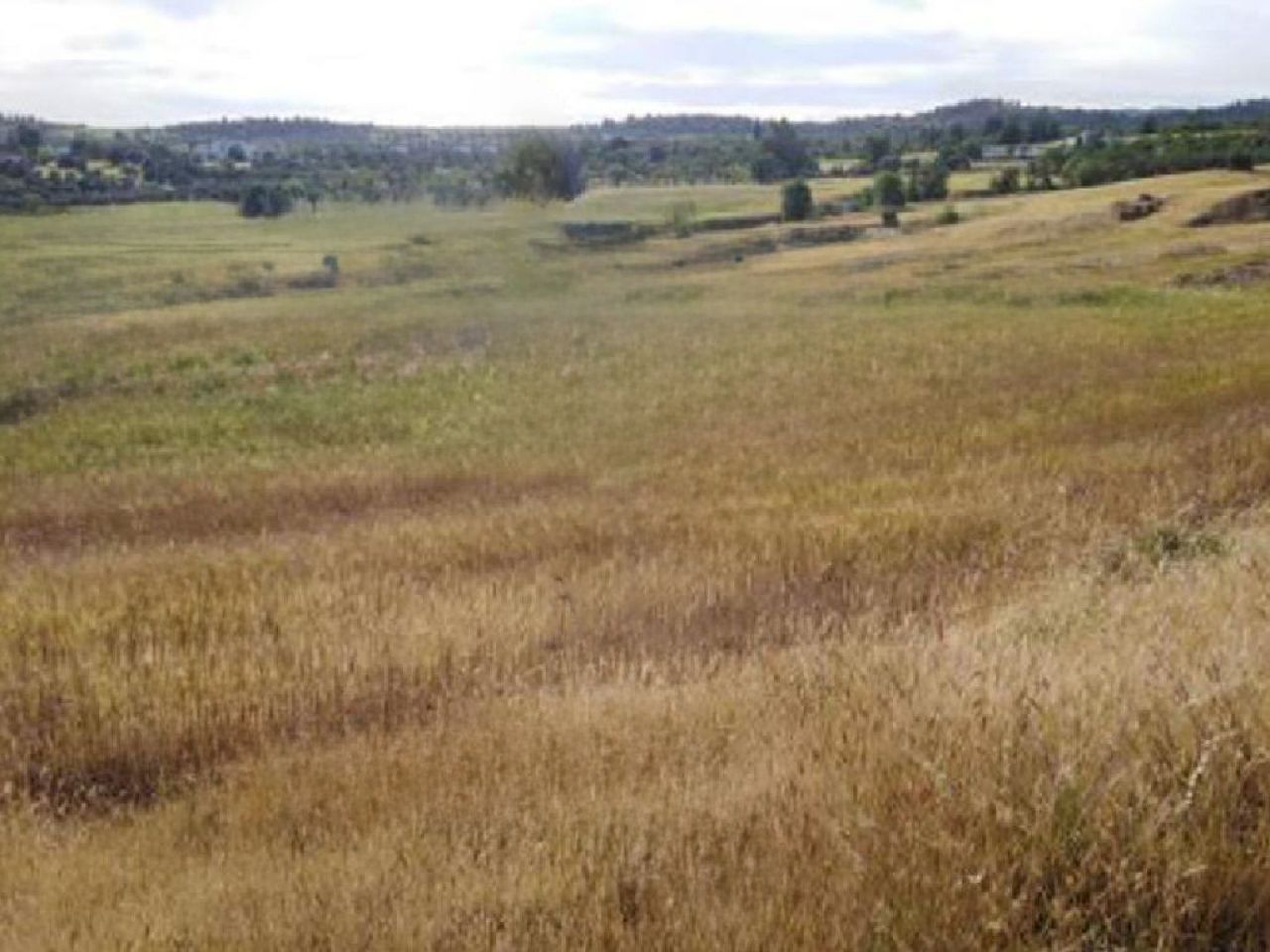 Thumbnail 3 Property 2600 Klirou, Nicosia / 47482