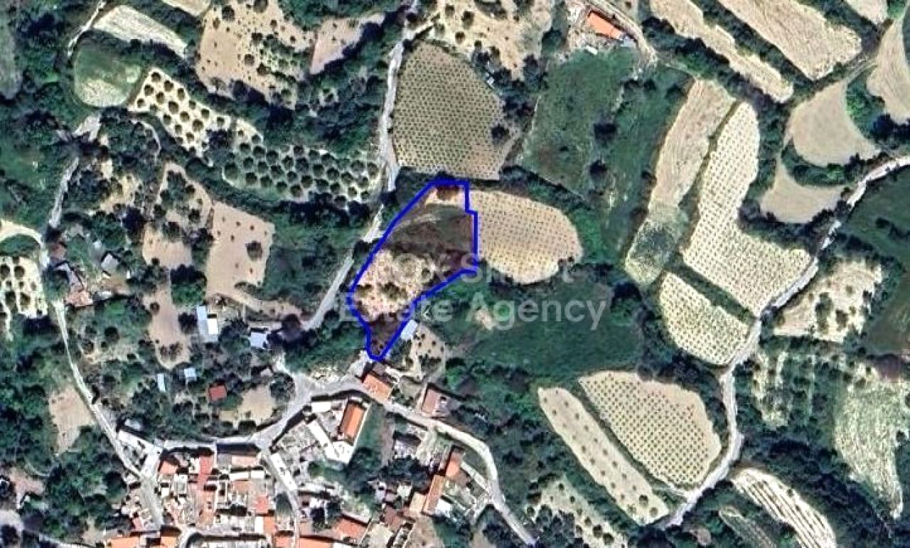 Ακίνητο 56182 Κοιλί, Πάφος / LIM-PAF-15515