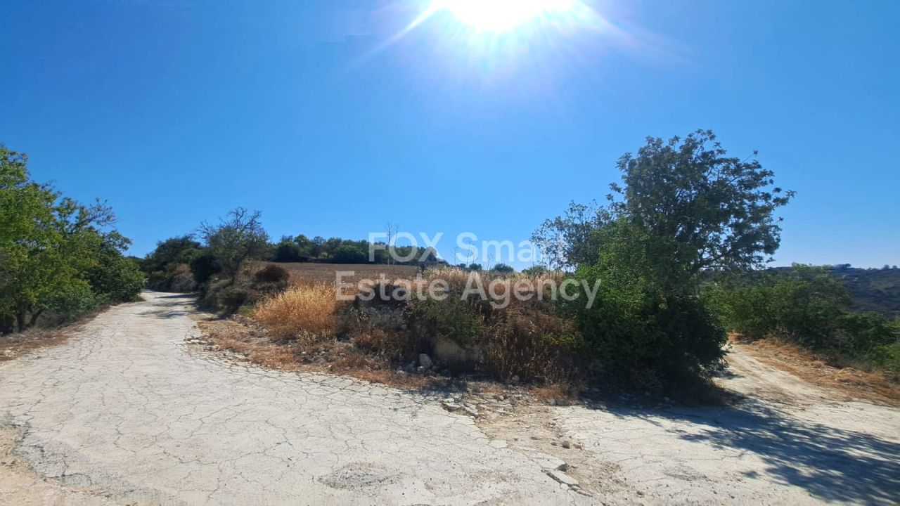 Nieruchomość 56302 Koili, Pafos / LIM-PAF-31253