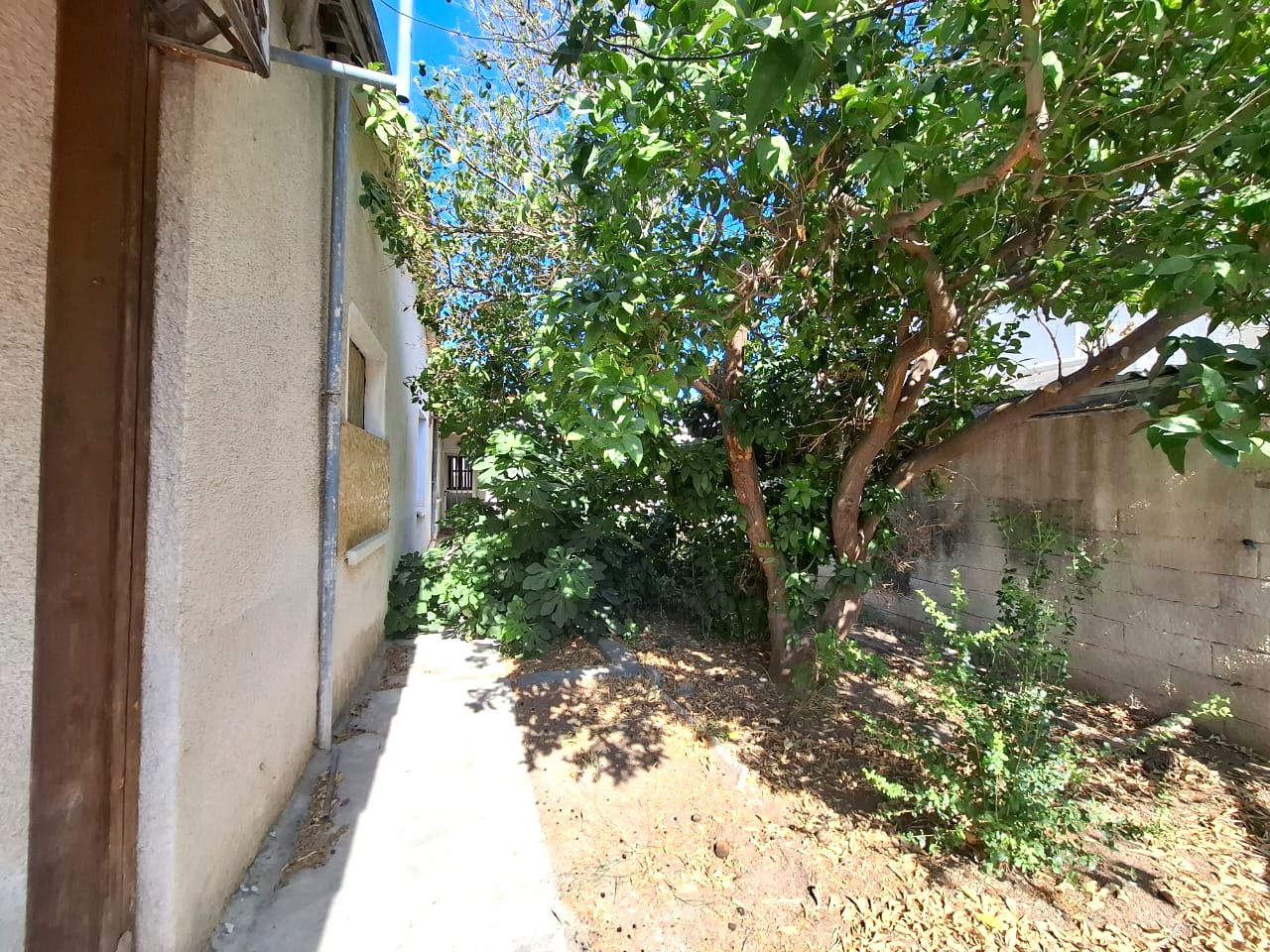 Immobilie 52551 Mammari, Nikosia / 9943