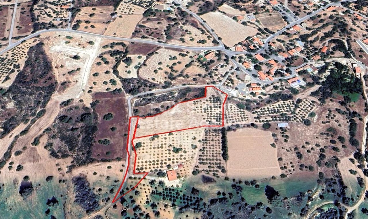 Thumbnail 1 Propiedad 2958 Mansoura, Nicosia / LIM-PAF-27443