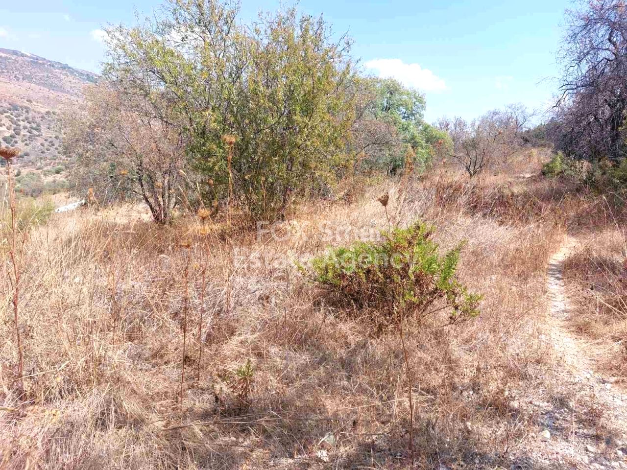 Thumbnail 2 Propiedad 2958 Mansoura, Nicosia / LIM-PAF-26797