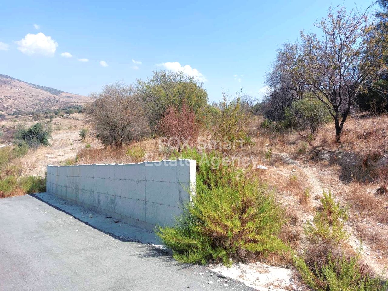 Thumbnail 1 Propiedad 2958 Mansoura, Nicosia / LIM-PAF-26797