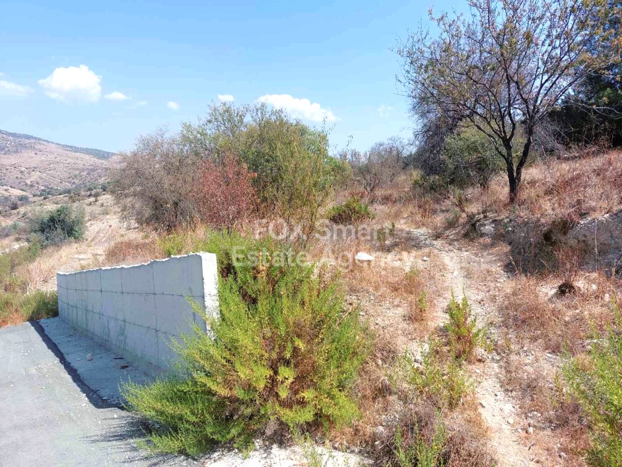 Thumbnail 3 Propiedad 2958 Mansoura, Nicosia / LIM-PAF-26797