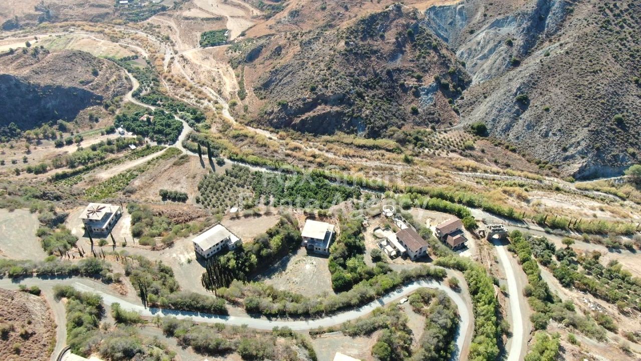 Ακίνητο 56246 Μανσούρα, Λευκωσία / LIM-PAF-28085