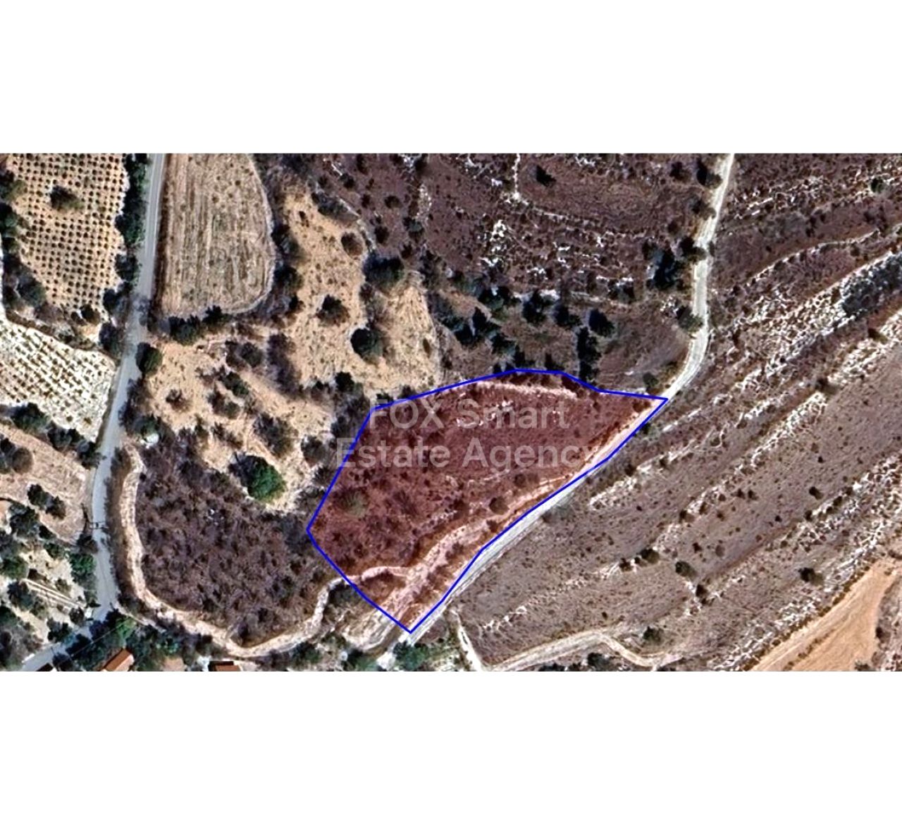 Thumbnail 1 Propiedad 2958 Mansoura, Nicosia / LIM-PAF-29411