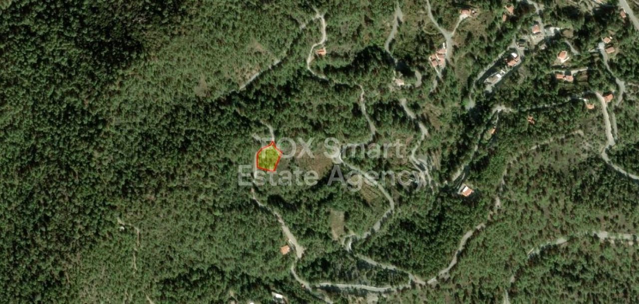 Thumbnail 5 房地产 4878 Pelendri, 利马索尔 / LIM-PAF-31118