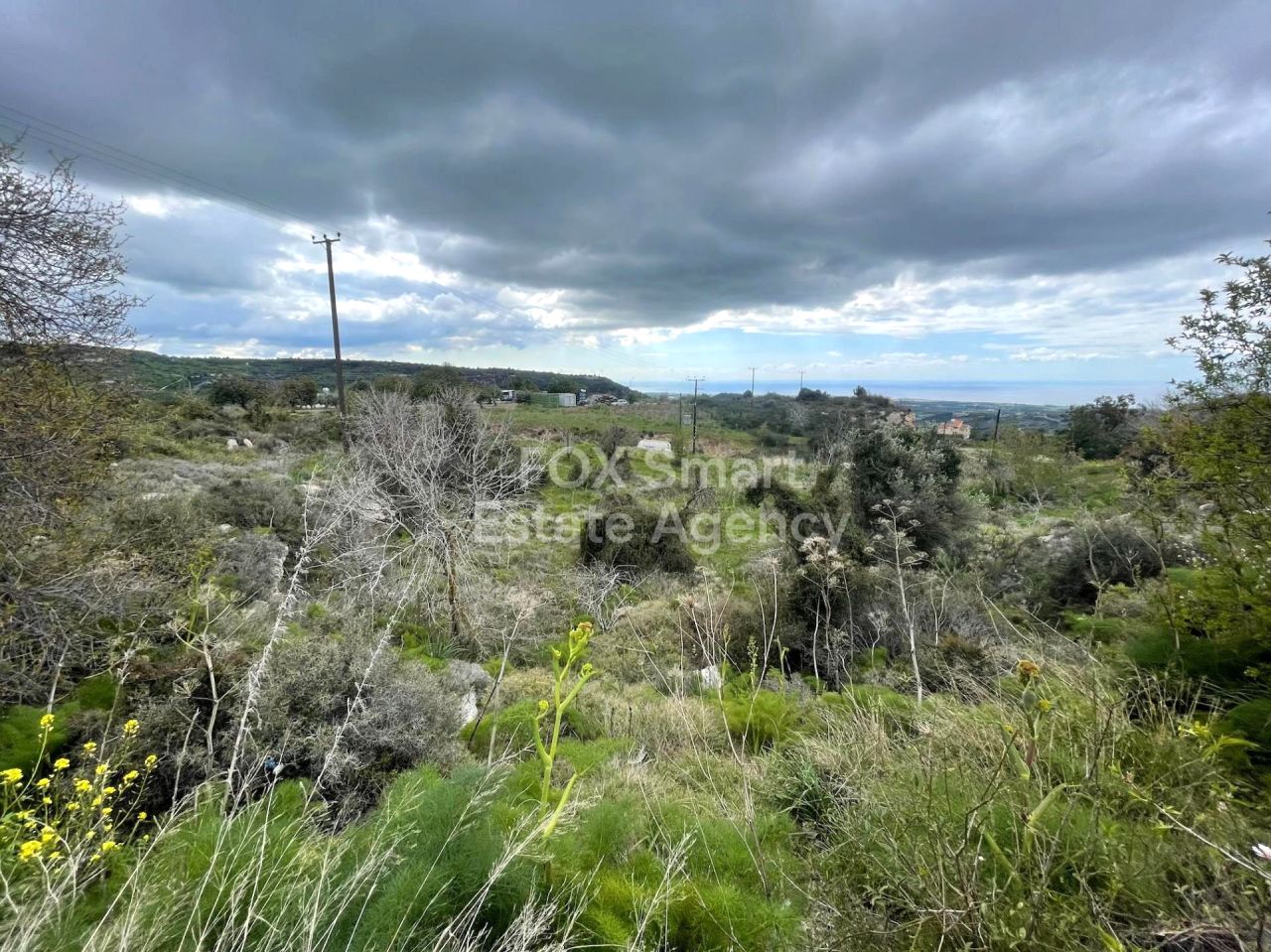 Объект недвижимости 56285 Маратунта, Пафос / LIM-PAF-30345