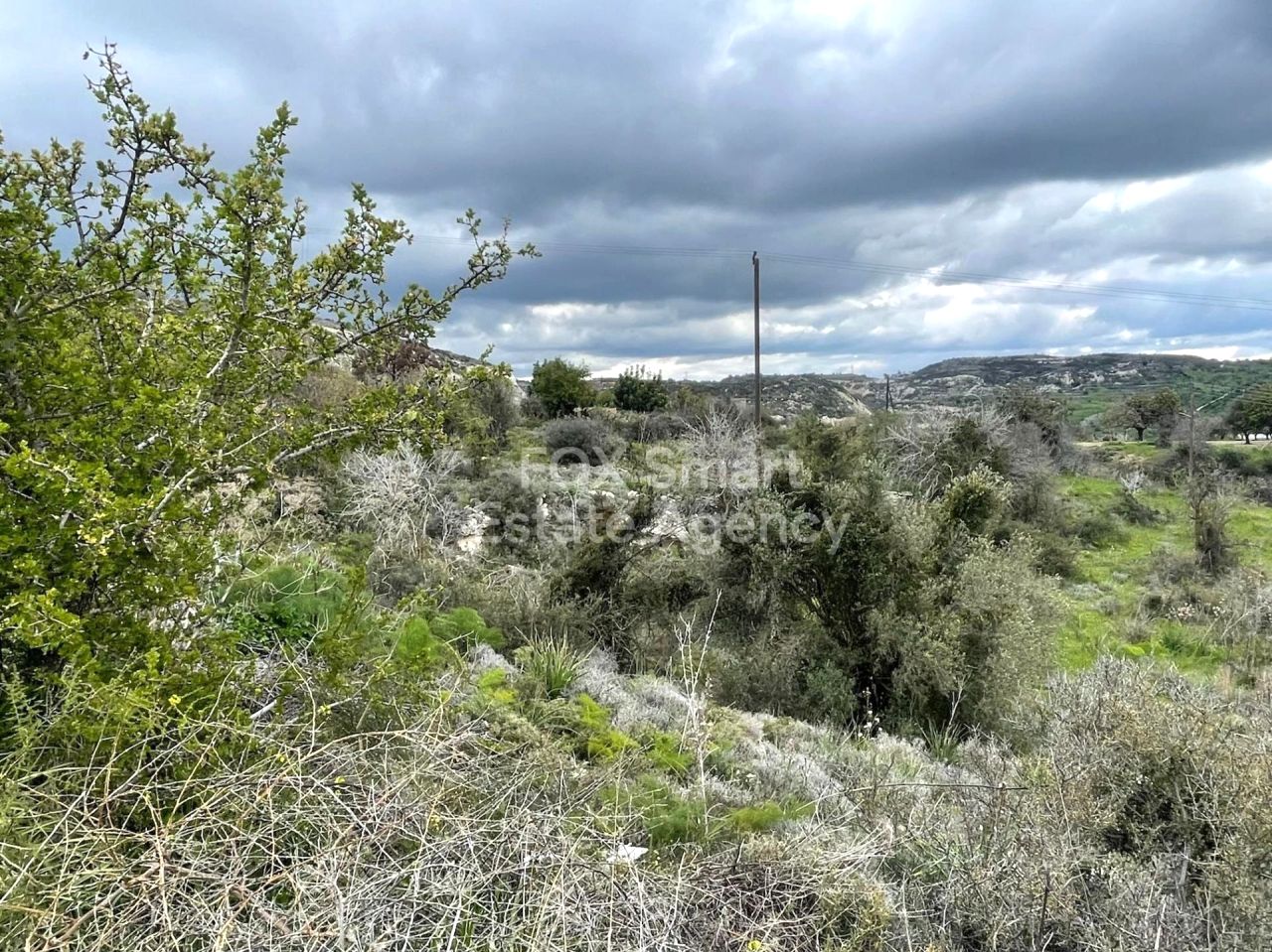 Объект недвижимости 56285 Маратунта, Пафос / LIM-PAF-30345