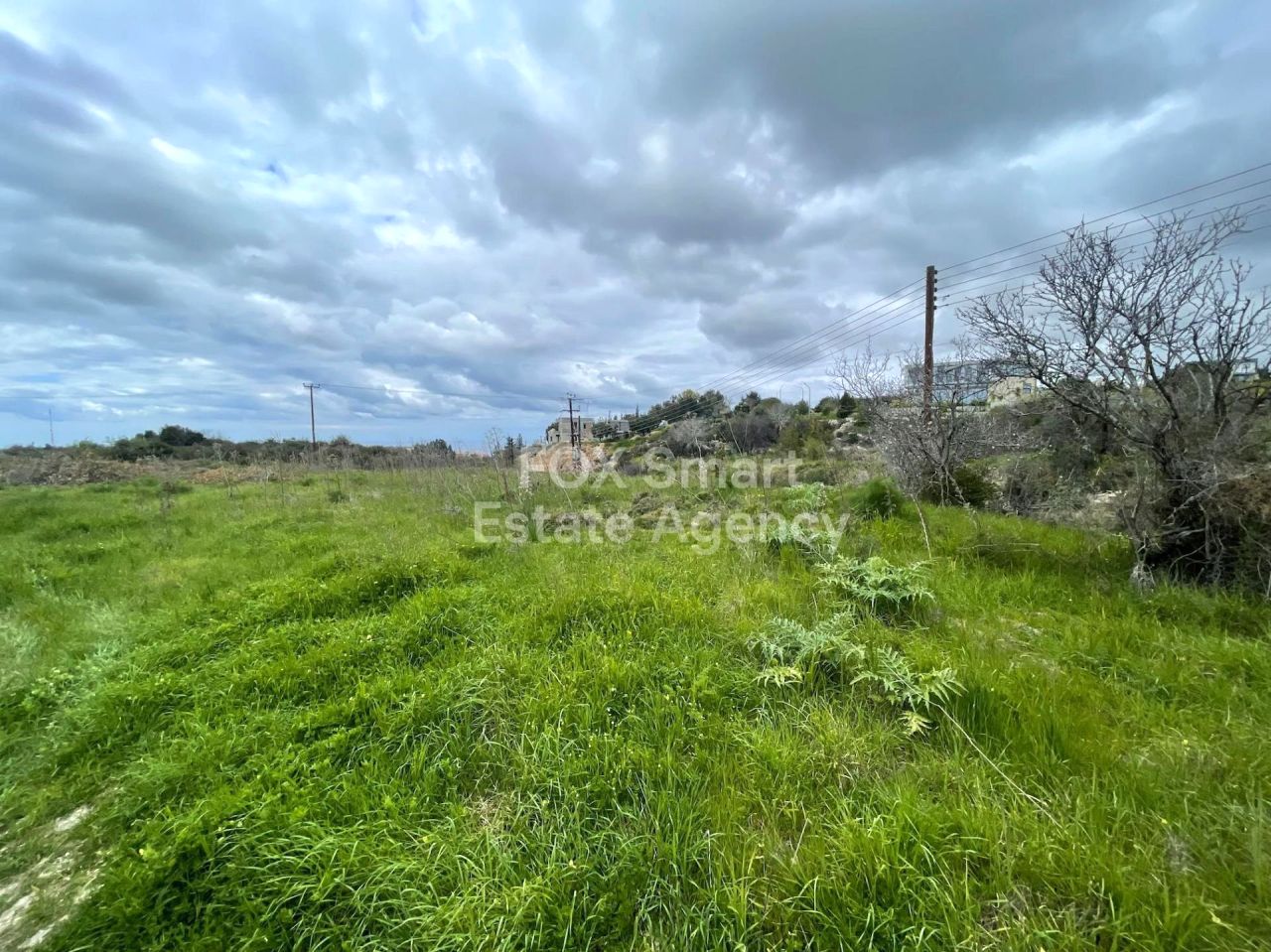 Объект недвижимости 56285 Маратунта, Пафос / LIM-PAF-30345