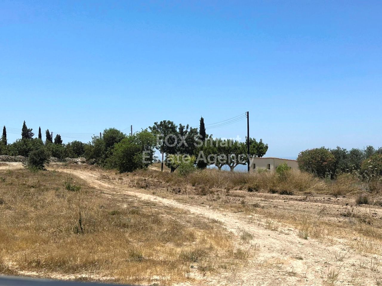 Объект недвижимости 56195 Месоги, Пафос / LIM-PAF-25328