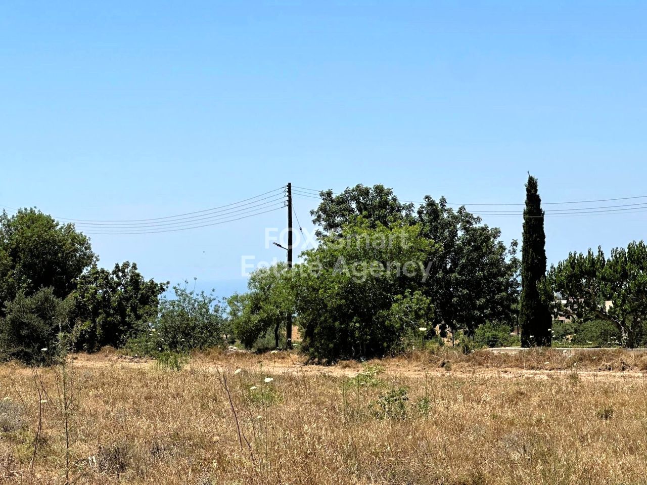 Объект недвижимости 56195 Месоги, Пафос / LIM-PAF-25328