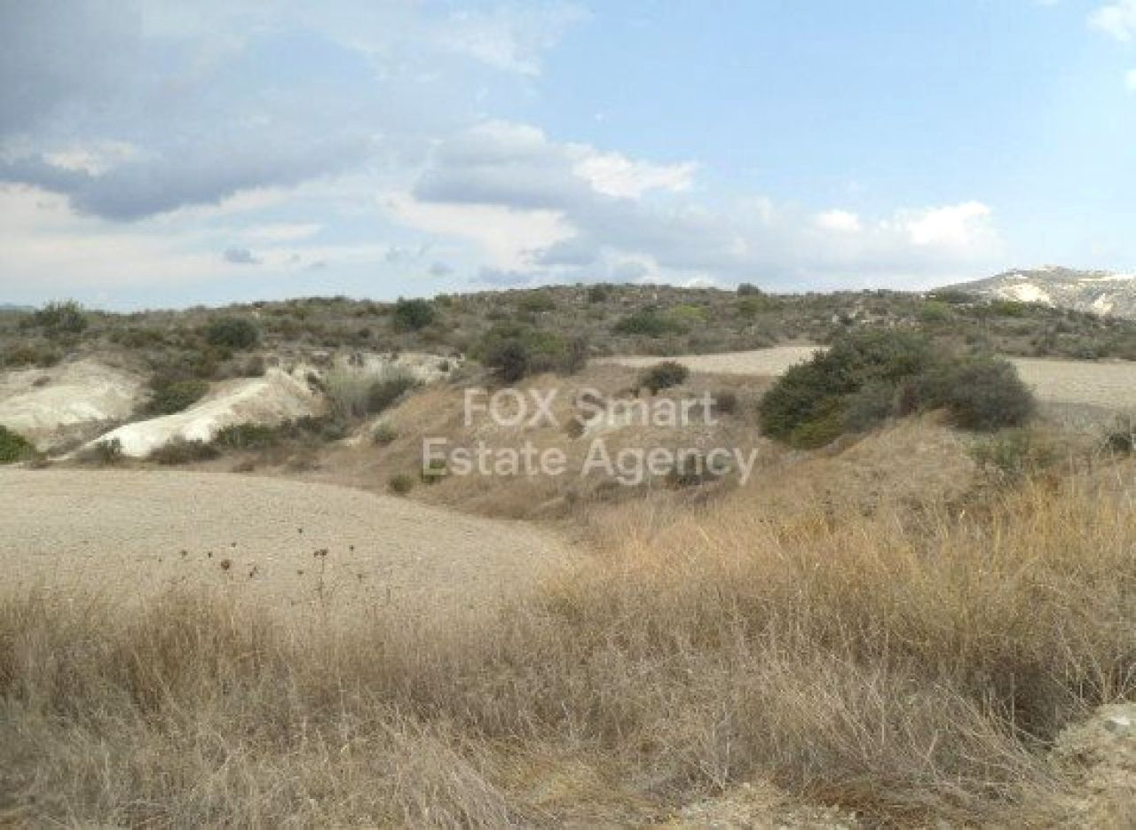 Thumbnail 3 房地产 4524 莫纳格罗尔利, 利马索尔 / LIM-PAF-31844