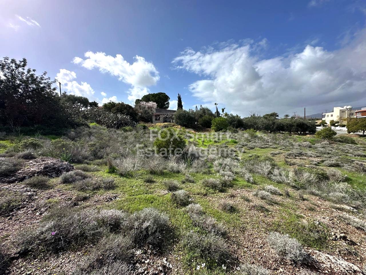 Thumbnail 11 Propiedad 4525 Moni, Limasol / LIM-PAF-32798