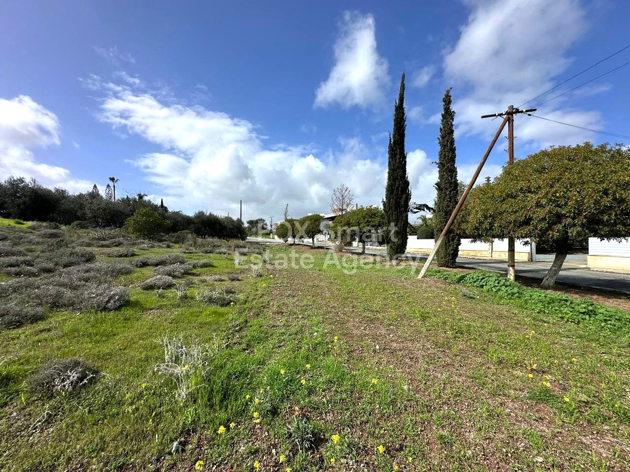 Thumbnail 7 Propiedad 4525 Moni, Limasol / LIM-PAF-32798