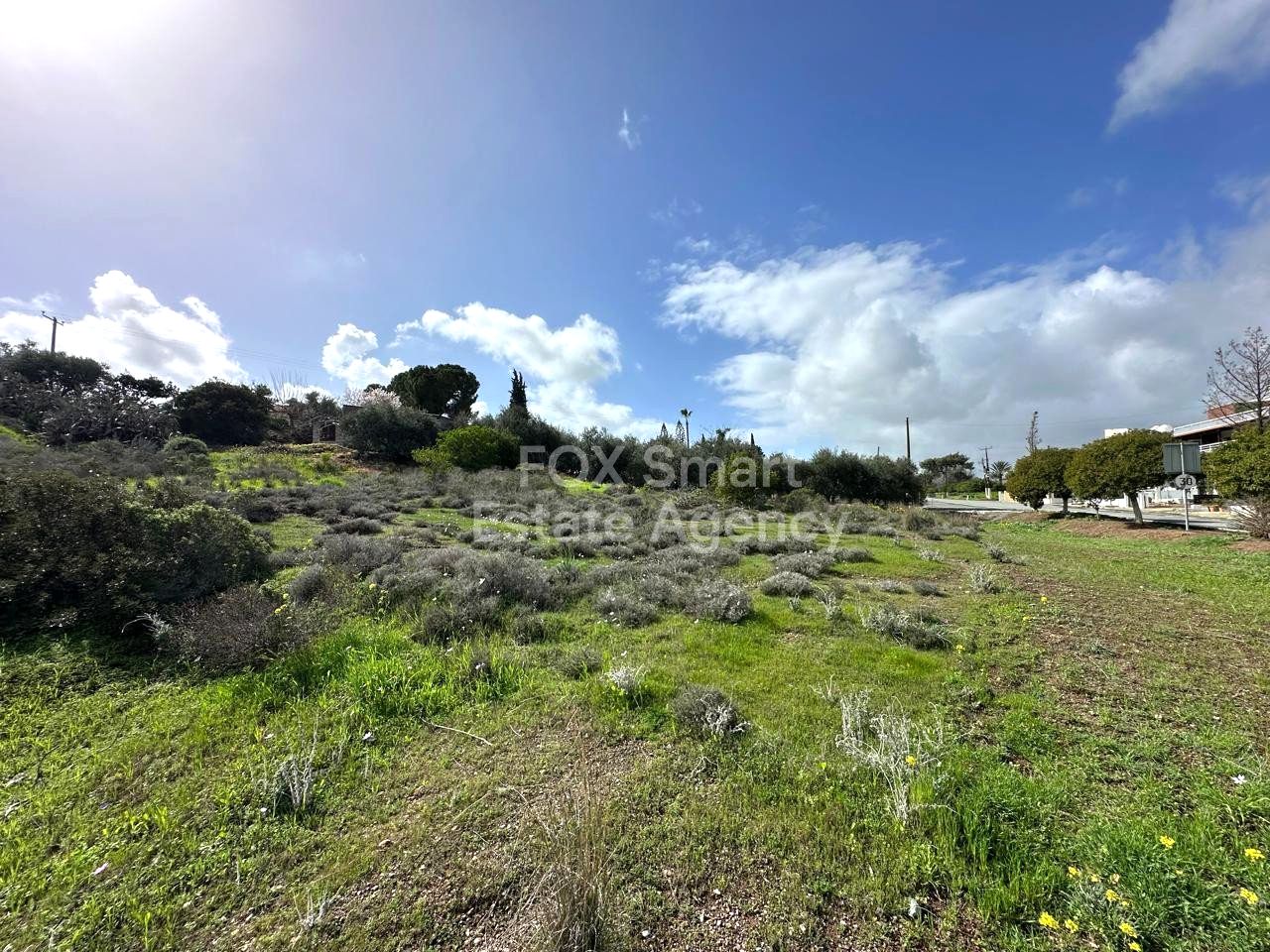 Thumbnail 8 Propiedad 4525 Moni, Limasol / LIM-PAF-32798