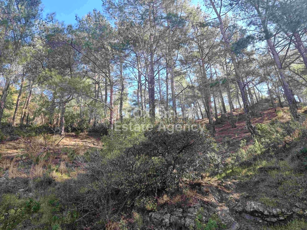 Thumbnail 14 LIM-PAF-24502 / נכס 4747 מוניאטיס, לימסול