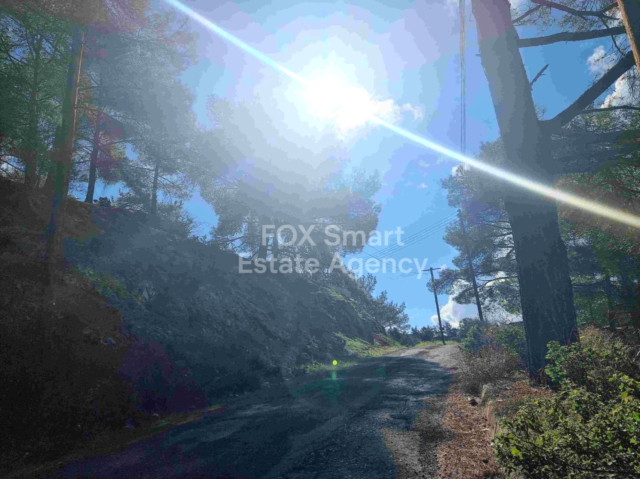 Thumbnail 20 LIM-PAF-24502 / נכס 4747 מוניאטיס, לימסול