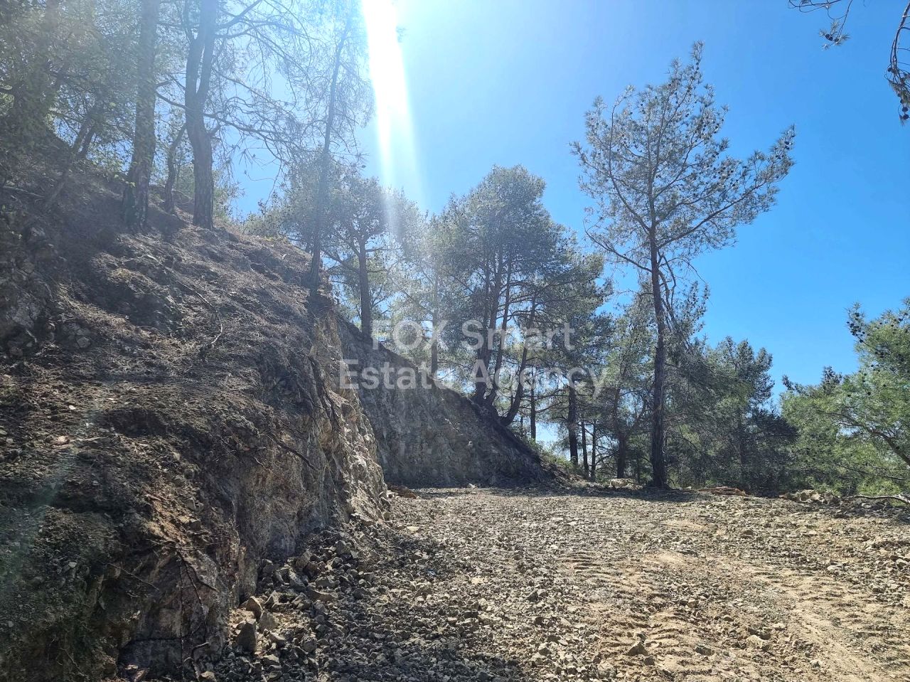 Thumbnail 3 LIM-PAF-24502 / נכס 4747 מוניאטיס, לימסול