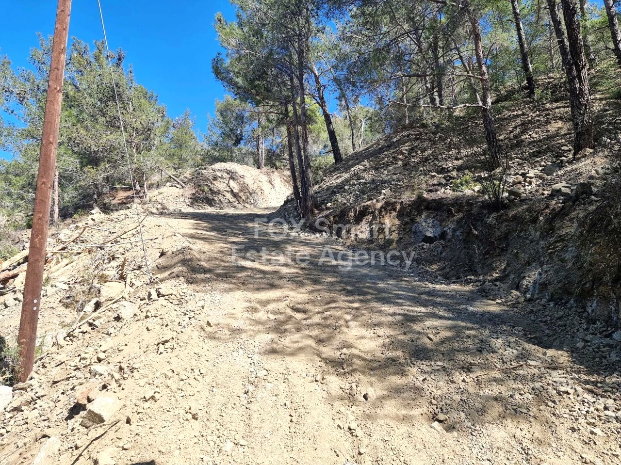 Thumbnail 10 LIM-PAF-24502 / נכס 4747 מוניאטיס, לימסול