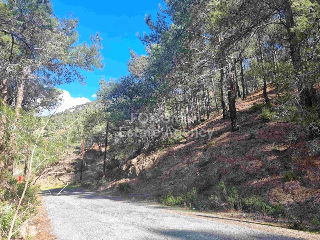 Thumbnail 1 LIM-PAF-24502 / נכס 4747 מוניאטיס, לימסול