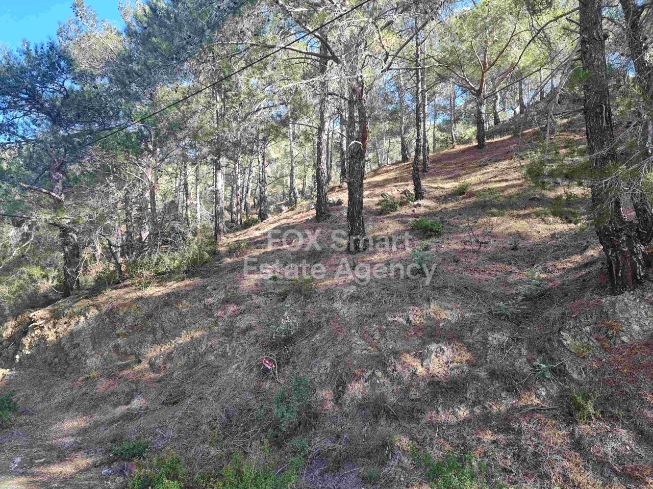 Thumbnail 11 LIM-PAF-24502 / נכס 4747 מוניאטיס, לימסול