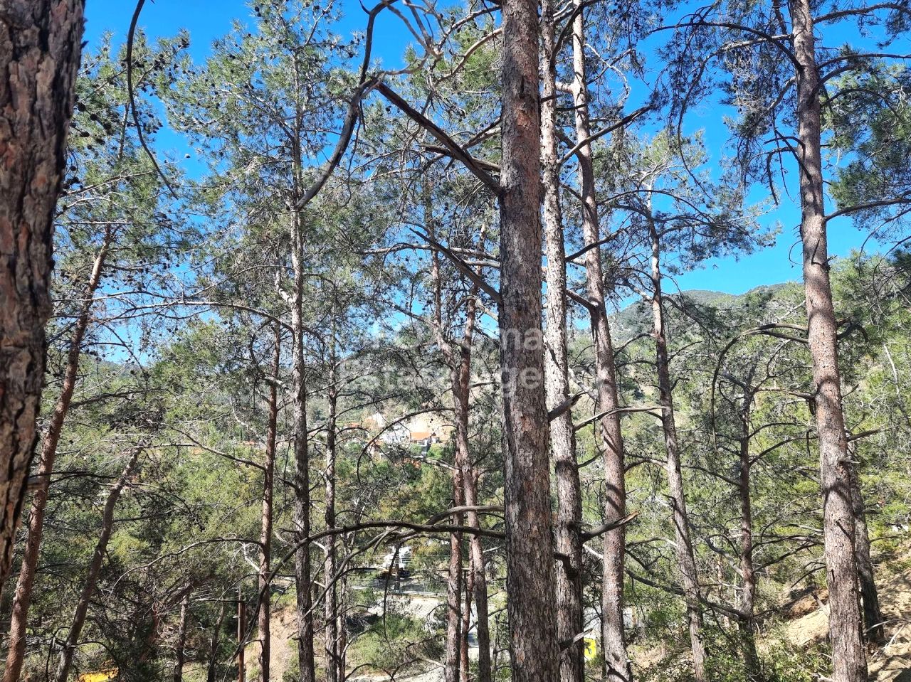 Thumbnail 7 LIM-PAF-24502 / נכס 4747 מוניאטיס, לימסול