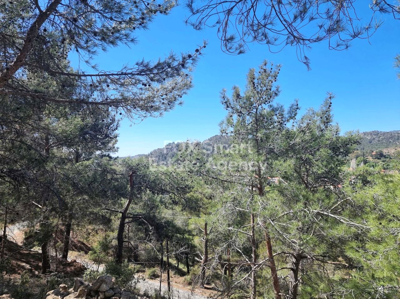 Thumbnail 4 LIM-PAF-24502 / נכס 4747 מוניאטיס, לימסול