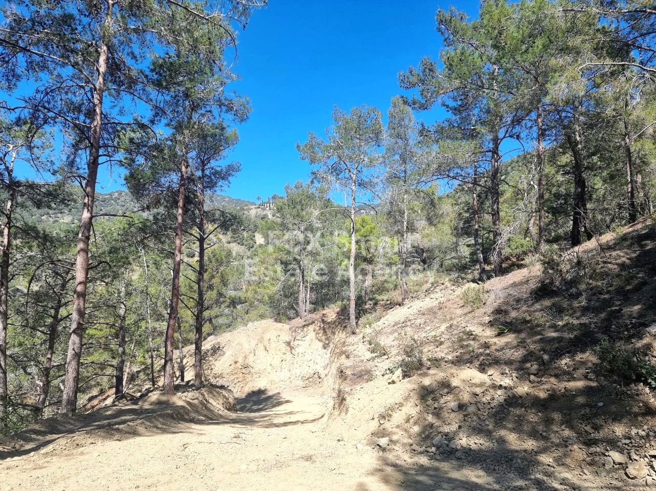 Thumbnail 2 LIM-PAF-24502 / נכס 4747 מוניאטיס, לימסול