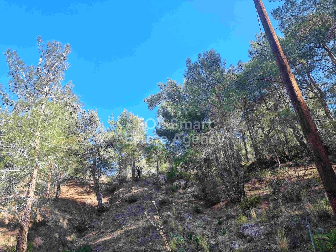 Thumbnail 13 LIM-PAF-24502 / נכס 4747 מוניאטיס, לימסול