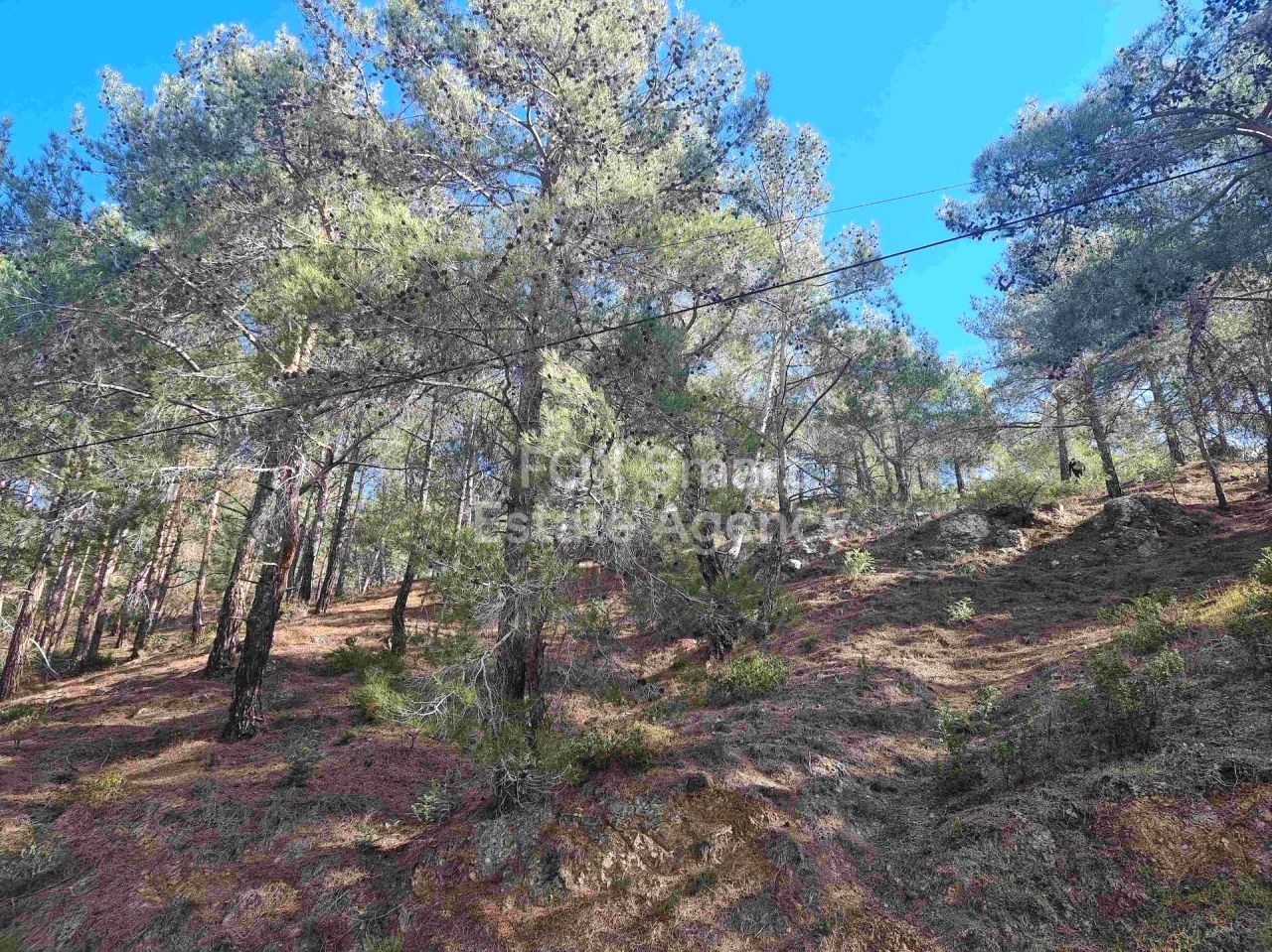 Thumbnail 19 LIM-PAF-24502 / נכס 4747 מוניאטיס, לימסול