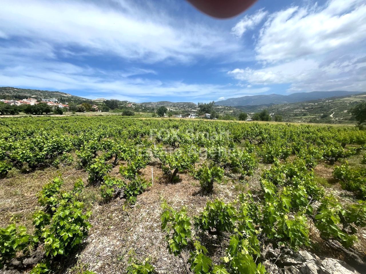 Thumbnail 1 Property 4760 Omodos, Limassol / LIM-PAF-32543