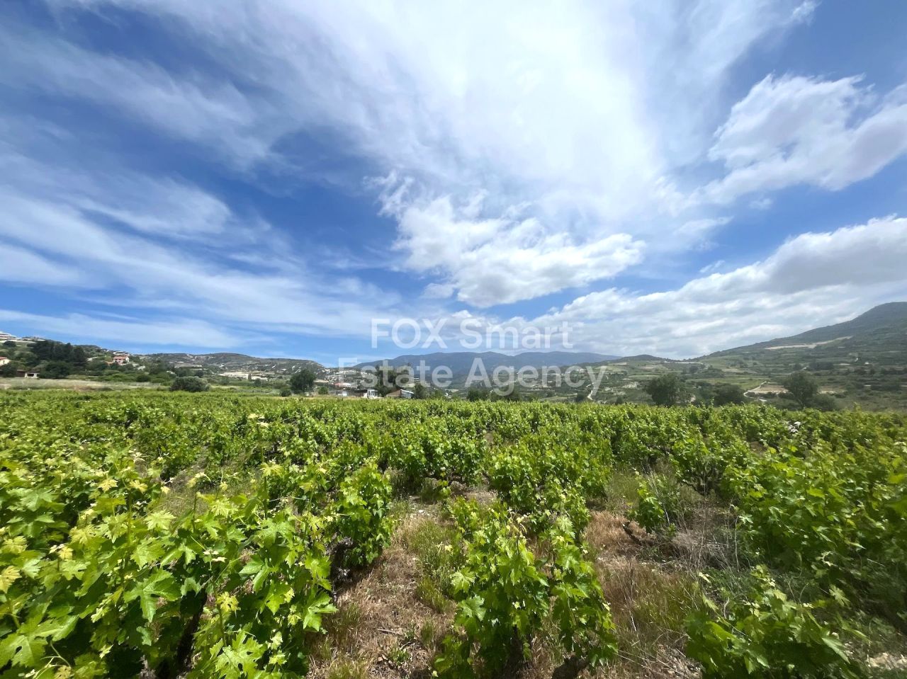 Thumbnail 3 Property 4760 Omodos, Limassol / LIM-PAF-32543