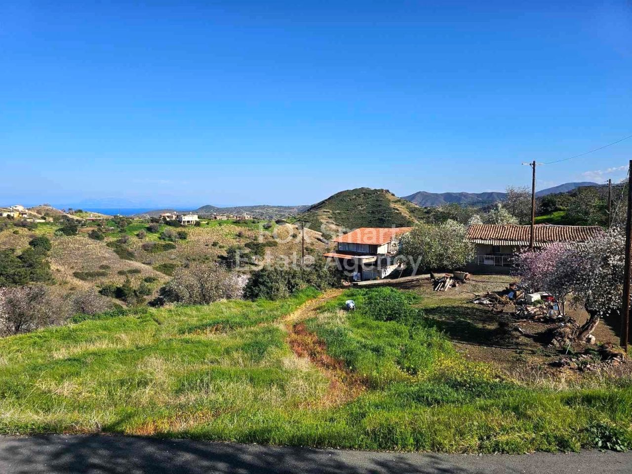 Propiedad 56248 Pafos, Pafos / LIM-PAF-28131