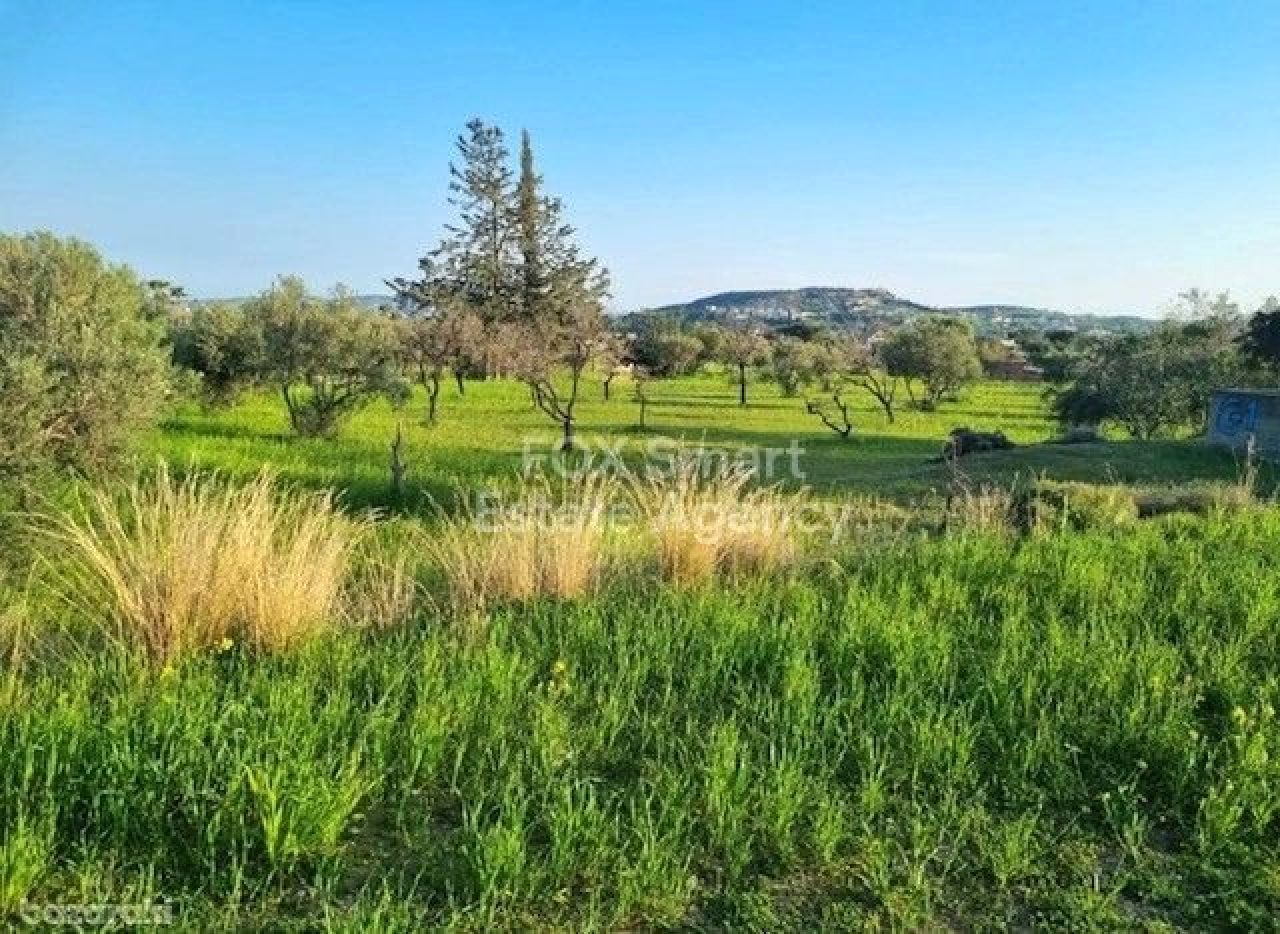 Bien immobilier 56254 Parekklisia, Limassol / LIM-PAF-28630