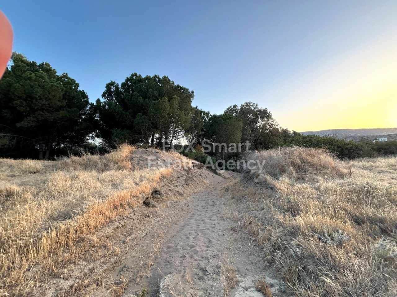 Объект недвижимости 56194 Писсури, Лимассол / LIM-PAF-25182