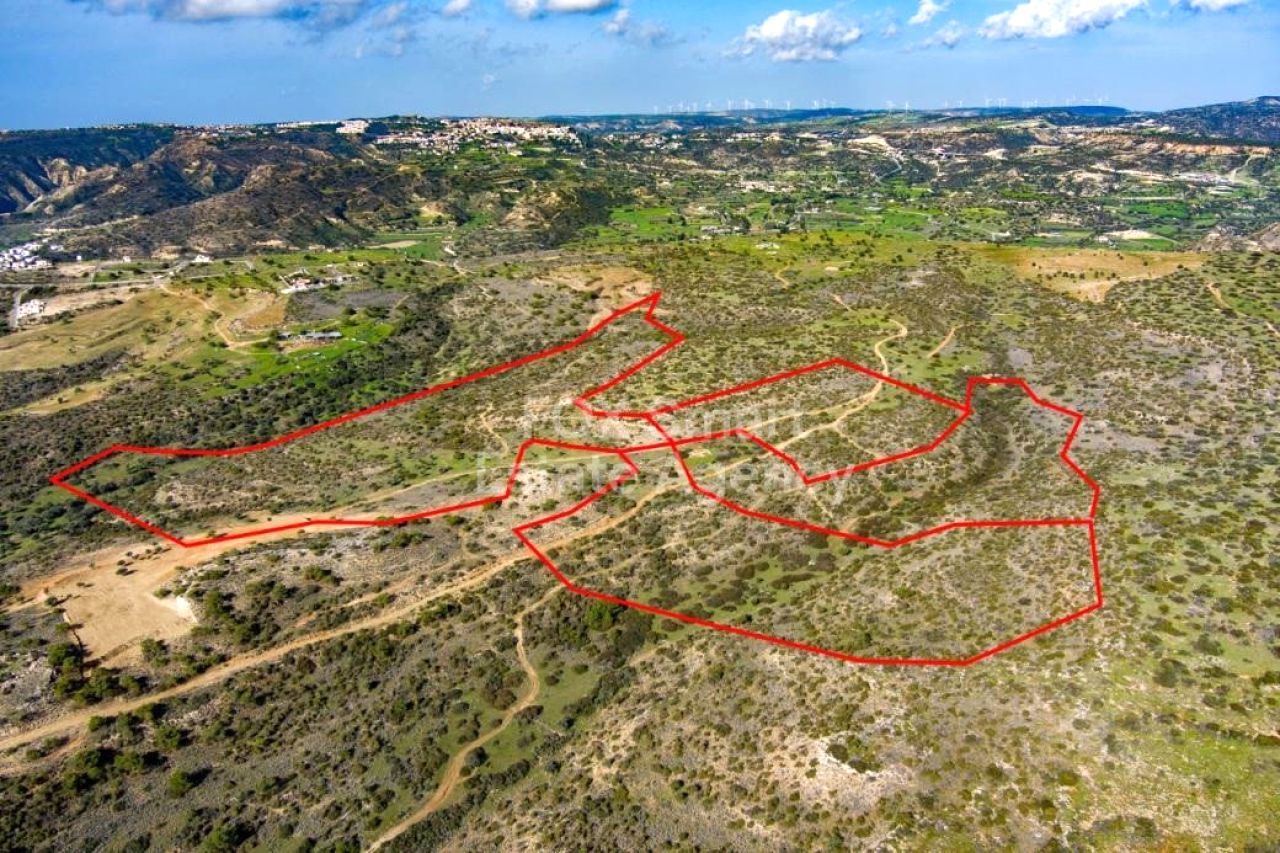 Propiedad 56323 Pissouri, Limassol / LIM-PAF-31823