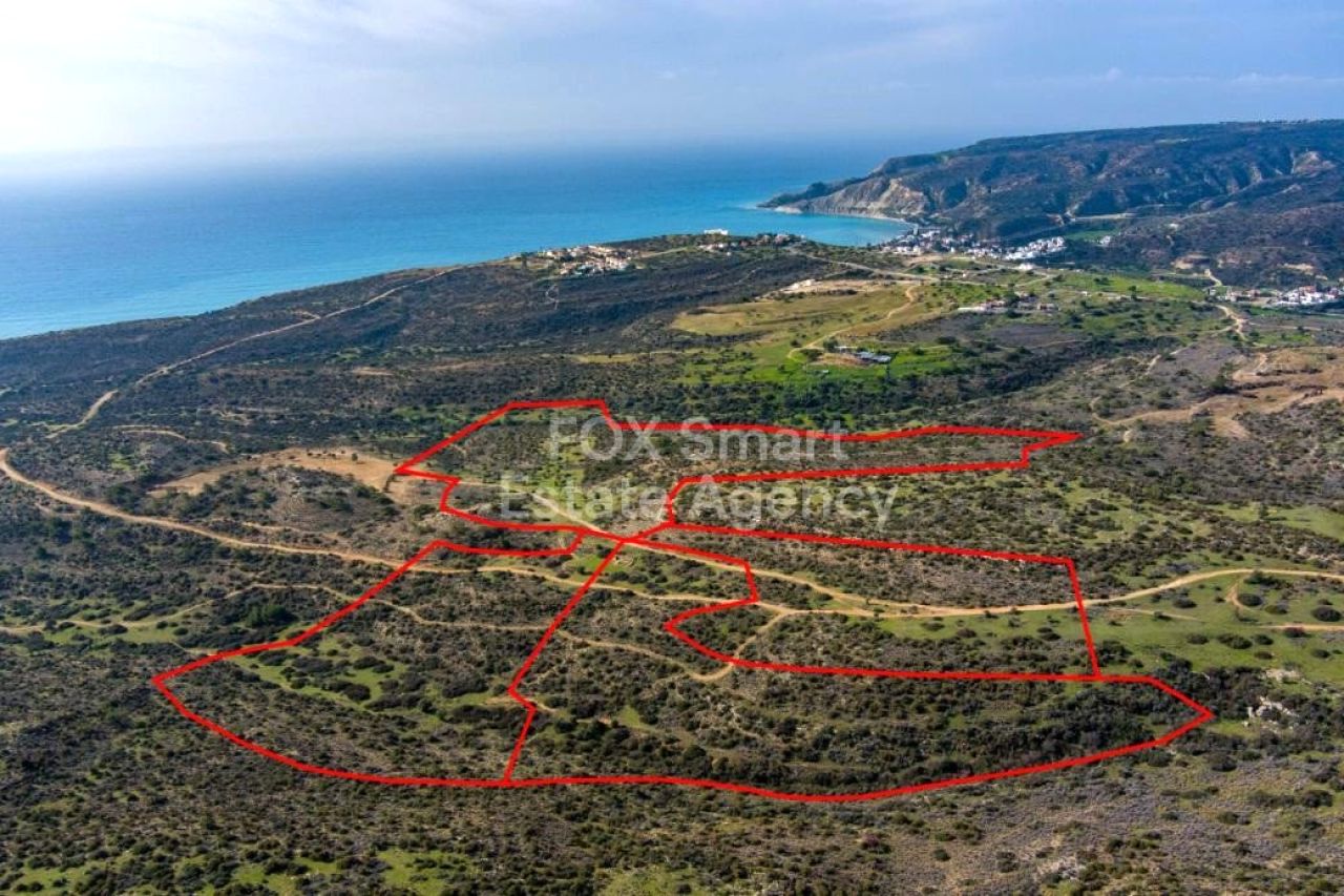 Propiedad 56323 Pissouri, Limassol / LIM-PAF-31823
