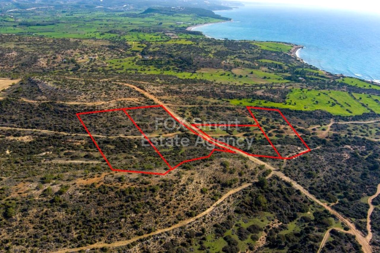 Propiedad 56324 Pissouri, Limassol / LIM-PAF-31824