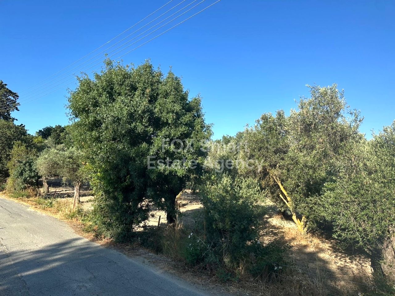 房产 56276 Polemi, 帕福斯 / LIM-PAF-29999