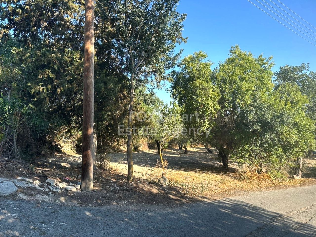 房产 56276 Polemi, 帕福斯 / LIM-PAF-29999