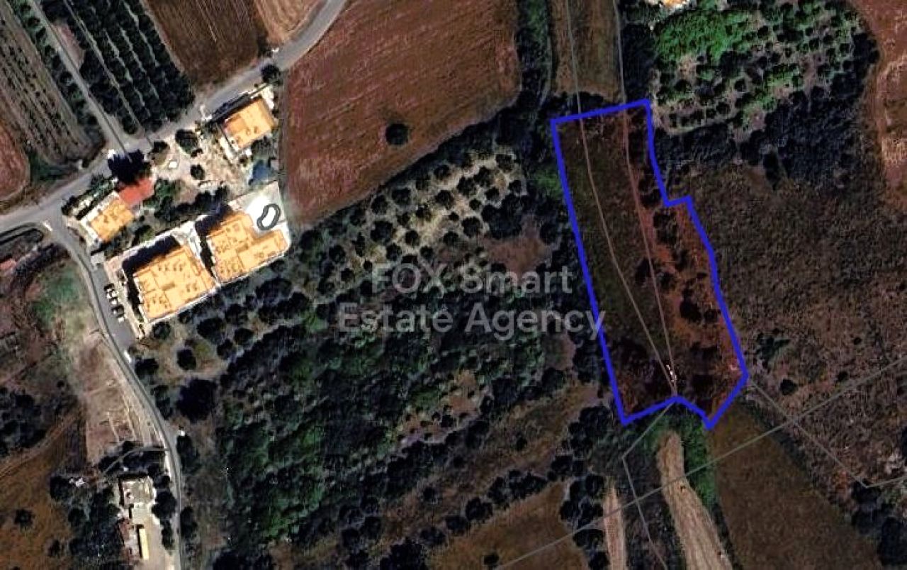 Immobile 56225 Polis, Pafos / LIM-PAF-26974