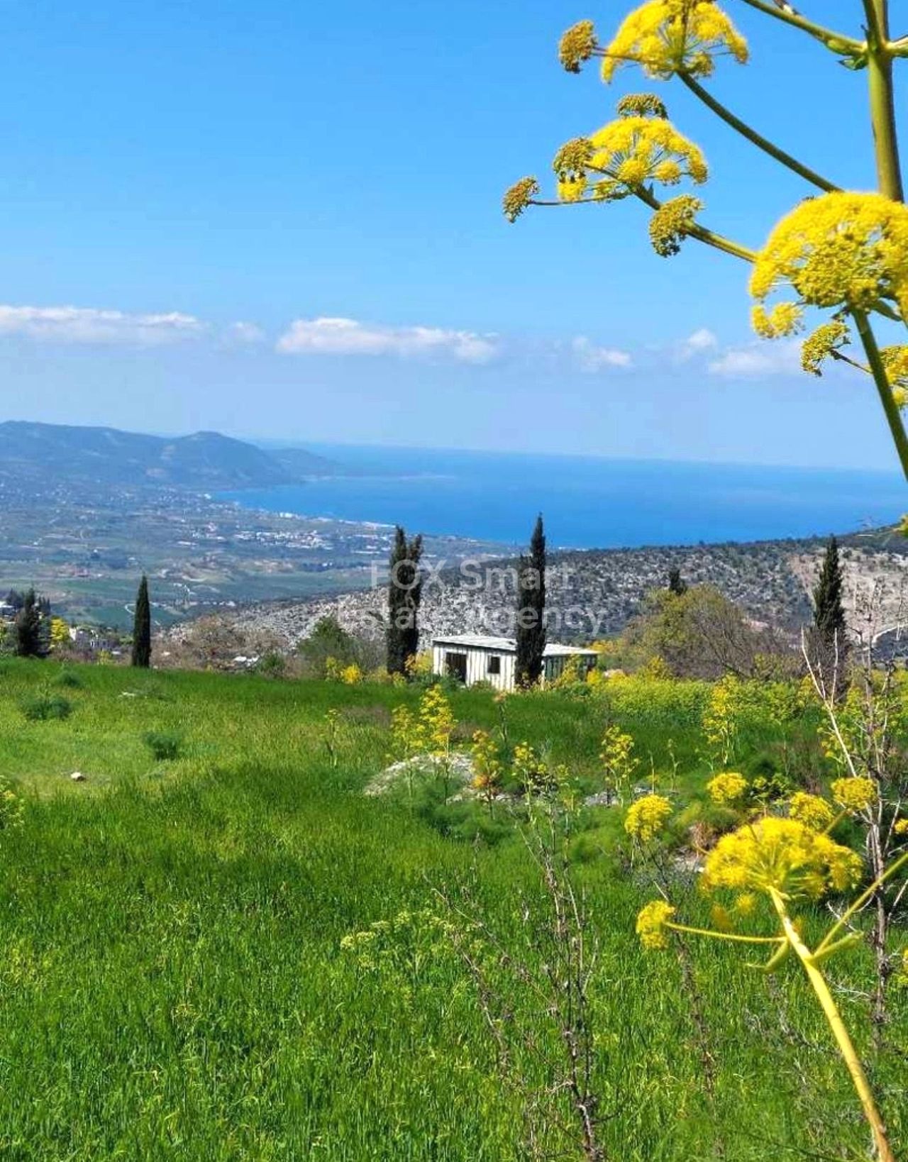 נכס 56287 פוליס, פאפוס / LIM-PAF-30489