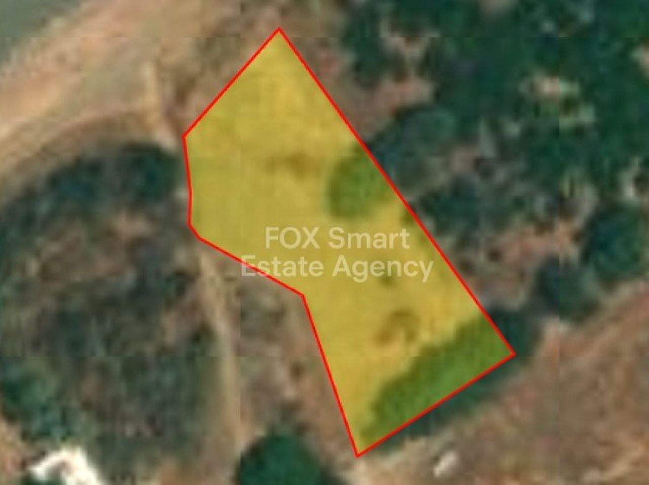 נכס 54204 פומוס, פאפוס / LIM-PAF-31394