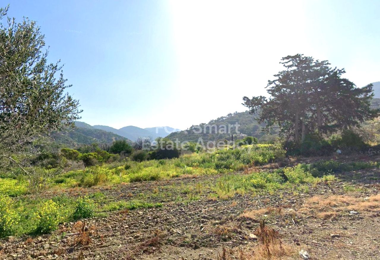 Thumbnail 2 Propiedad 8870 Pomos, Pafos / LIM-PAF-32877