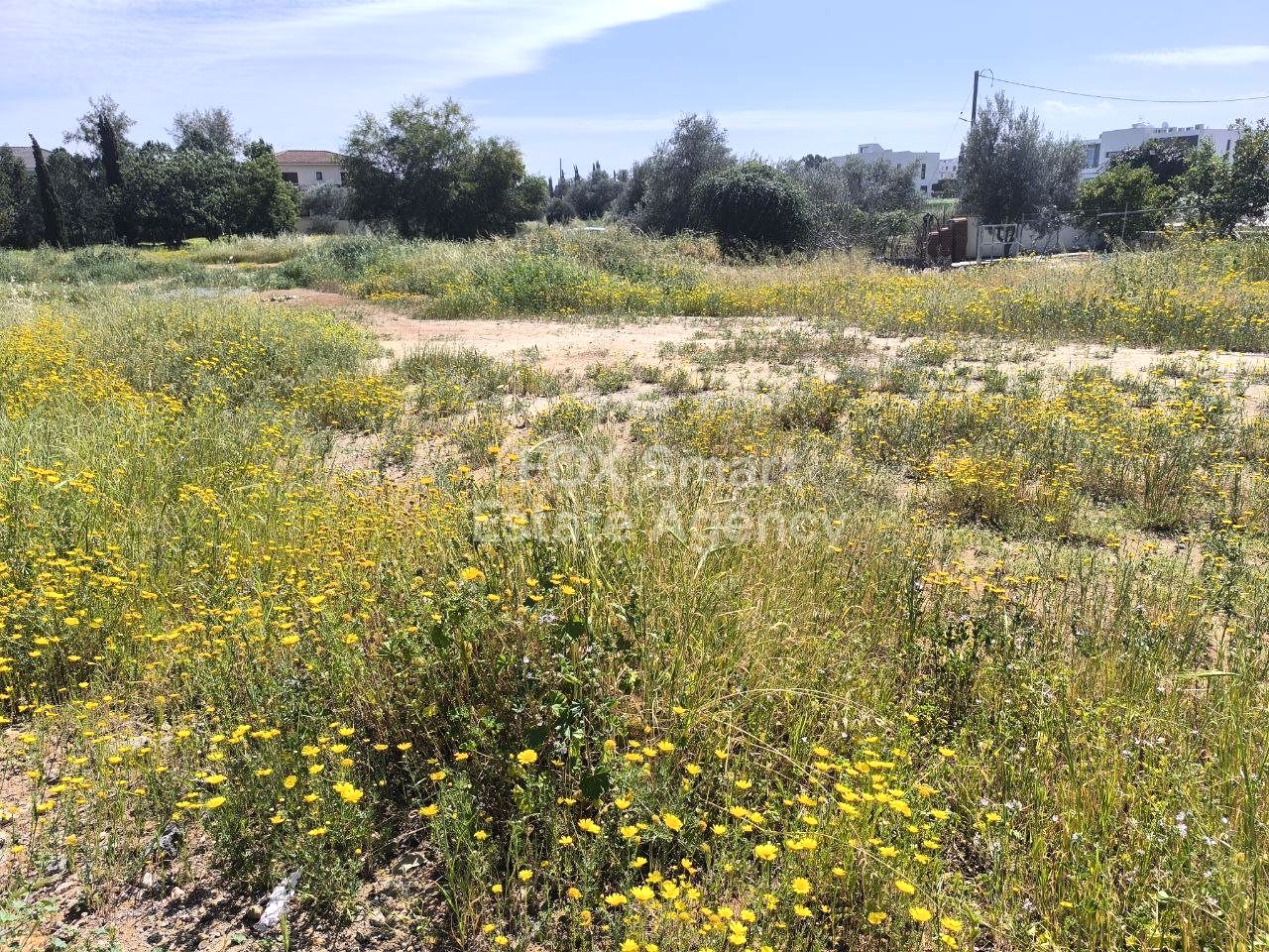 נכס 49766 סטרובולוס, ניקוסיה / 42401