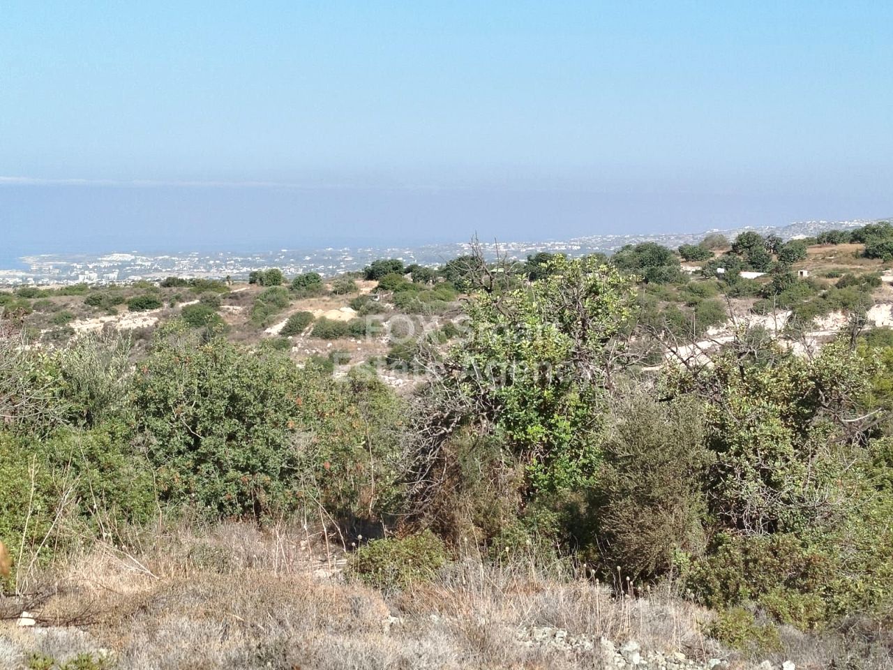 Property 56293 Tala, Paphos / LIM-PAF-30615