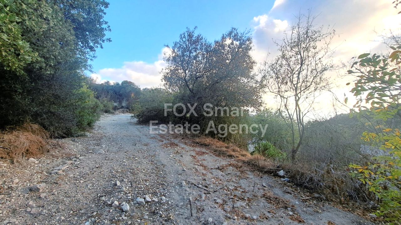 Immobilie 56221 Tsada, Paphos / LIM-PAF-26882